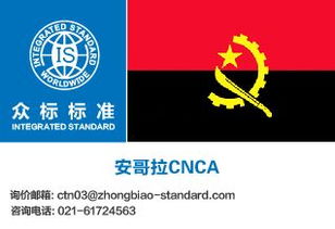 安哥拉羅安達電子貨物跟蹤單（ECTN）的國內貿易代理服務全解析