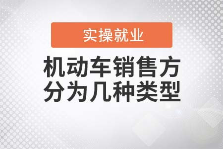 機動車銷售方類型解析 聚焦國內貿易代理